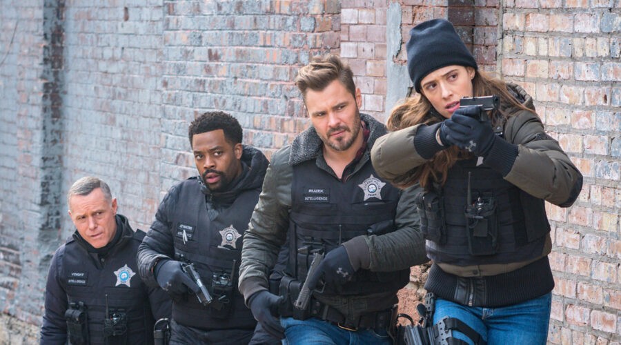 Da sinistra: Jason Beghe, Laroyce Hawkins, Patrick John Flueger, Marina Squerciati e Kim Burgess In 
