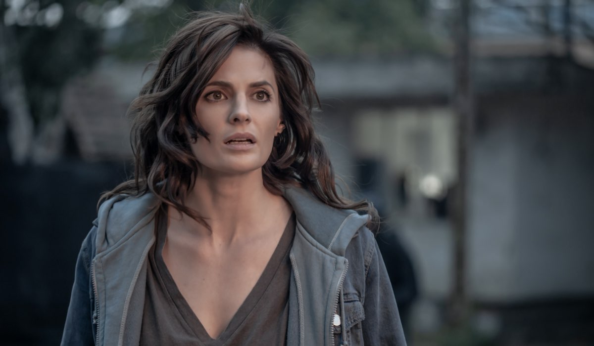 Is There A Season 4 Of Absentia Absentia 4 stagione non ci sarà: parla Stana Katic!