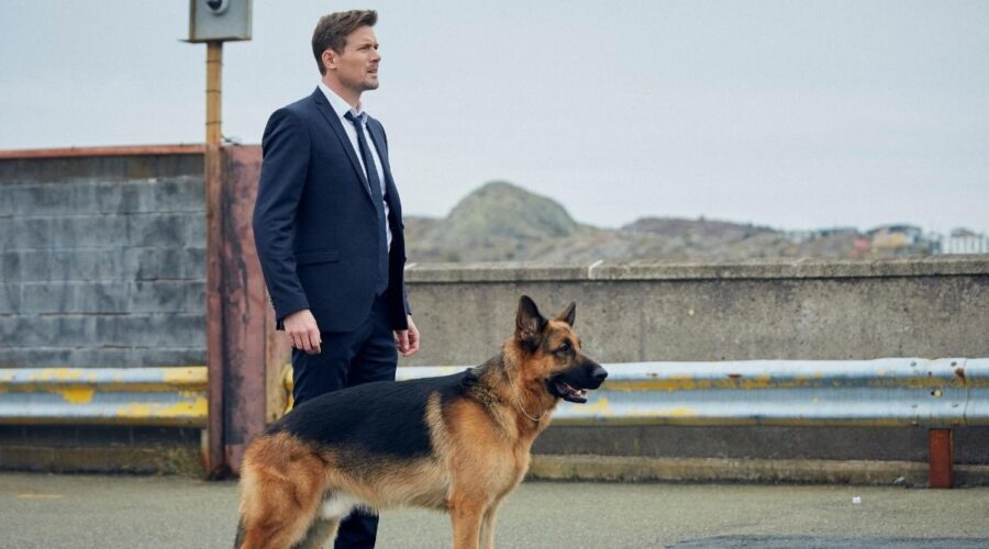 Hudson & Rex prima stagione Credits CityTv e Rai