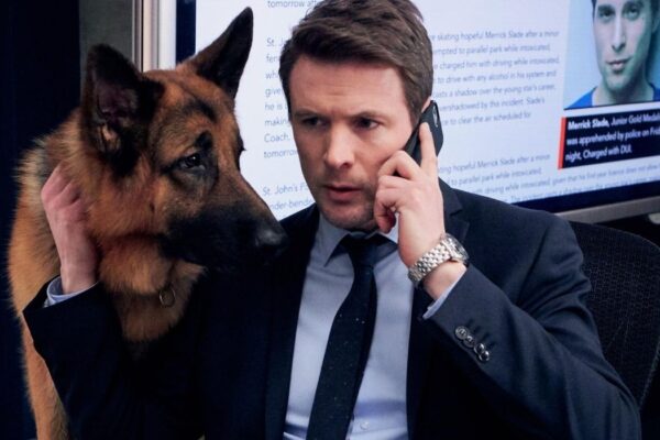 Hudson & Rex reboot de Il commissario Rex Credits CityTv e Rai