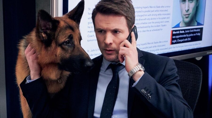 Hudson & Rex reboot de Il commissario Rex Credits CityTv e Rai