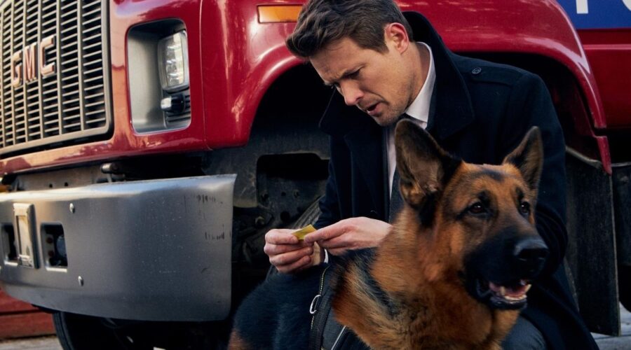 Hudson & Rex remake Il commissario Rex Credits CityTv e Rai