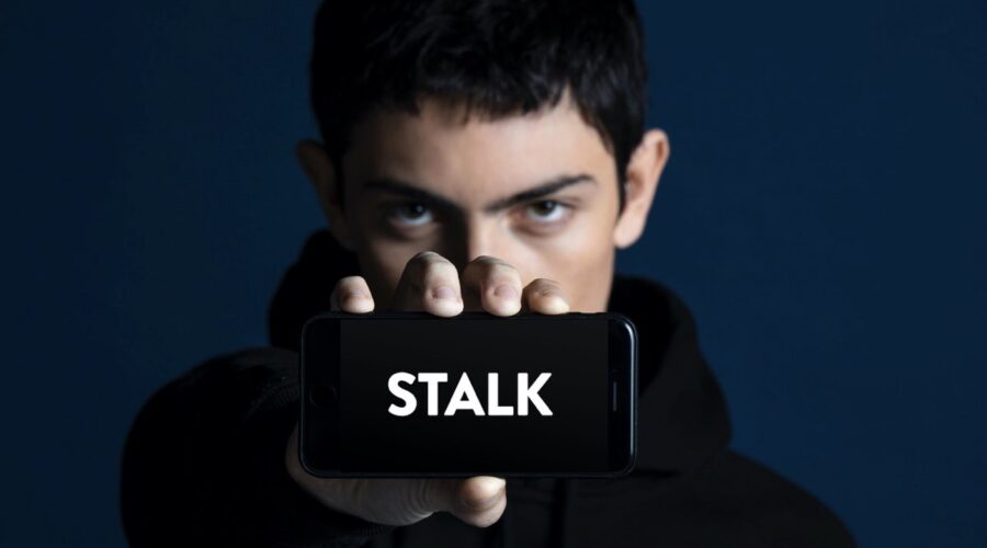 Théo Fernandez (Lux) nel poster di Stalk. Credits: RaiPlay/Slash.