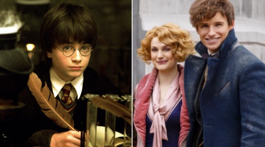 Harry Potter e Animali Fantastici. Credits: Warner Bros. Entertainment Italia E Mediaset