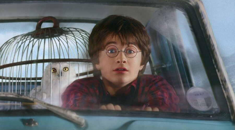 Daniel Raddcliffe in Harry Potter e La camera dei segreti Credits WARNER BROS e Mediaset