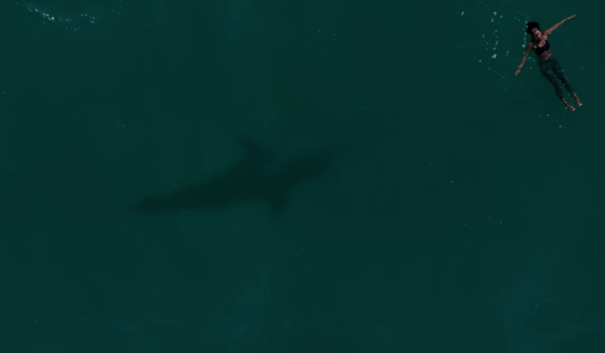 Rachel (Reign Edwards) intenta a galleggiare non si accorge dello squalo: Nora è morta salvando la sorella? Credits: Amazon Prime Video.