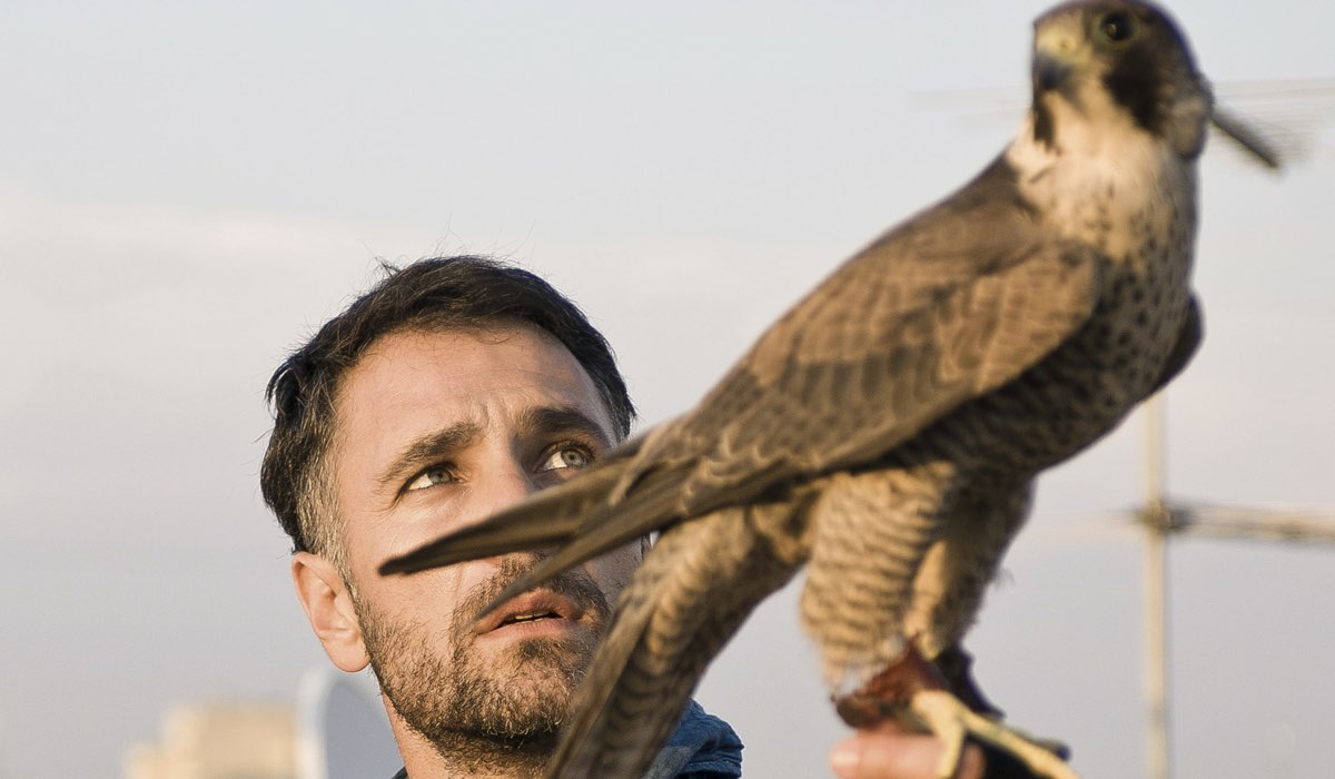 Ultimo L Occhio Del Falco Seconda Puntata