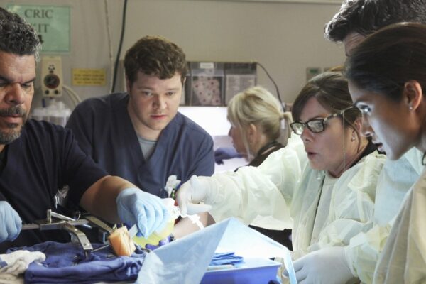 Luis Guzman, Harry Ford, Marcia Gay Harden, Melanie Chandra In Code Black Credits Disney Plus