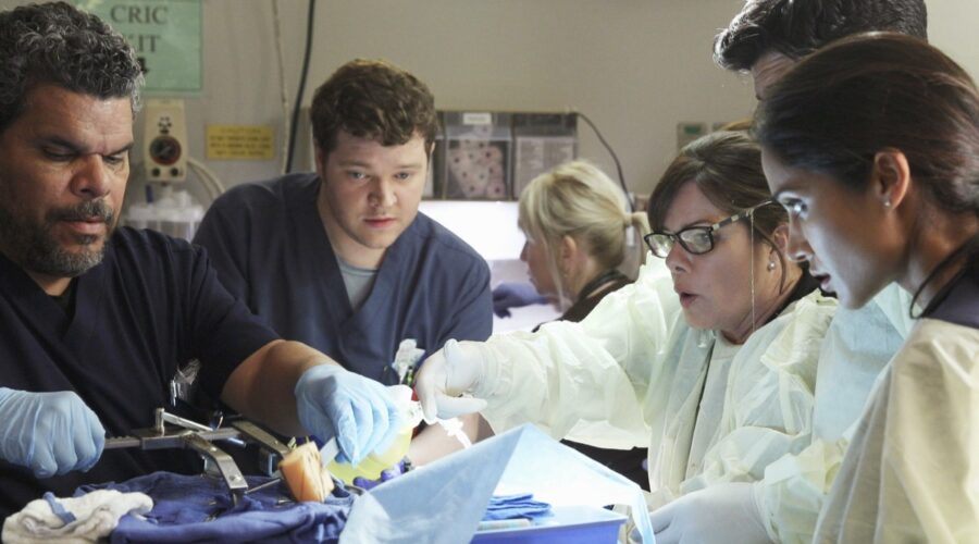 Luis Guzman, Harry Ford, Marcia Gay Harden, Melanie Chandra In Code Black Credits Disney Plus