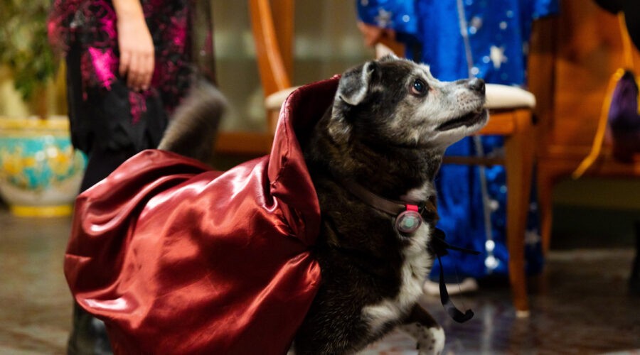 Bricca La Cagnolina di 