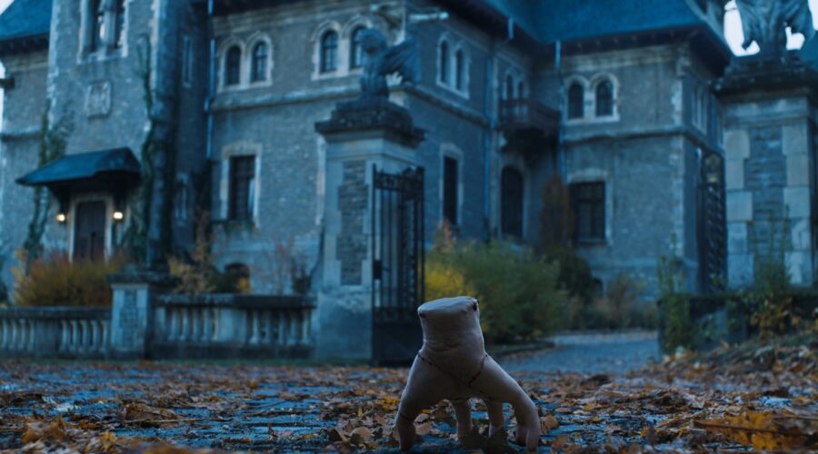 Victor Borobantu interpreta Mano in 