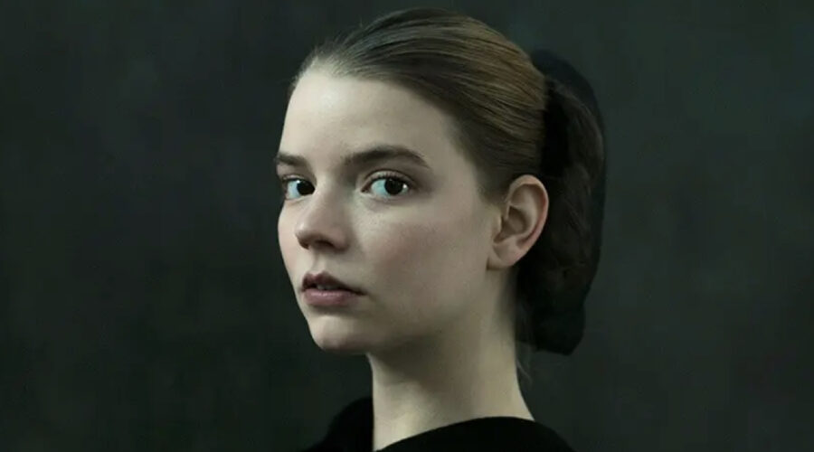 Immagine Di Copertina De Il Miniaturista Credits Sky Guida