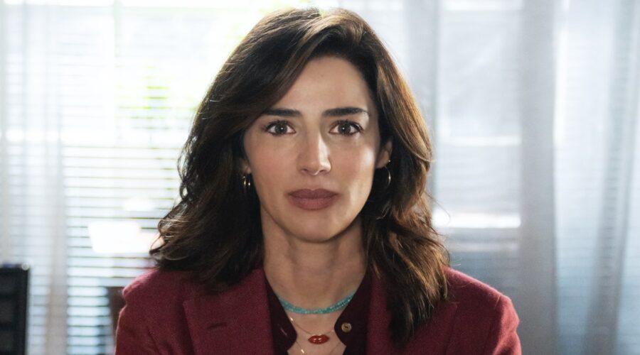 Luisa Ranieri (Lolita Lobosco) in un posato per 