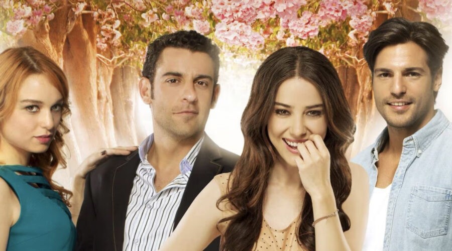 Immagine Di Copertina Di Cherry Season - La Stagione Del Cuore Credits Sky Guida