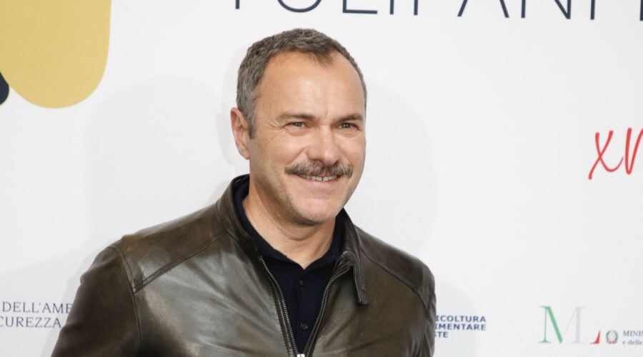 Vincenzo Malinconico 2 puntate