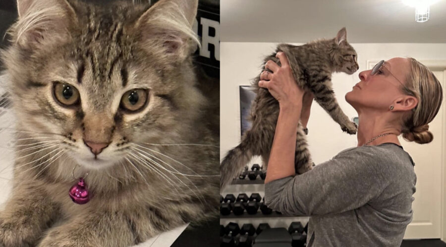Sarah Jessica Parker Su Instagram Con La Nuova Gattina Adottata Credits Via Instagram