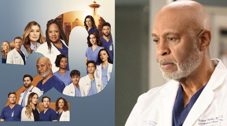 Locandina Di Grey's Anatomy 20 E James Pickens Jr. Credits Disney Plus