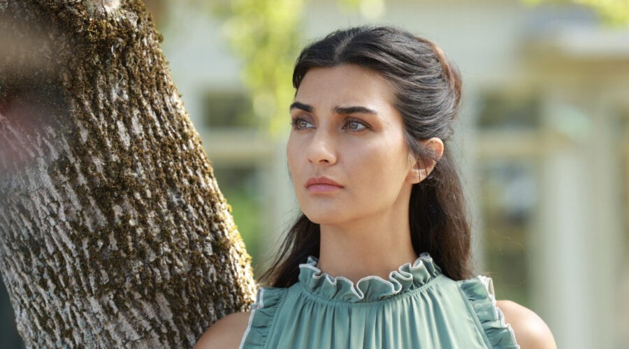 Zeytin AğAcı - Sezon 3 Credits Netflix