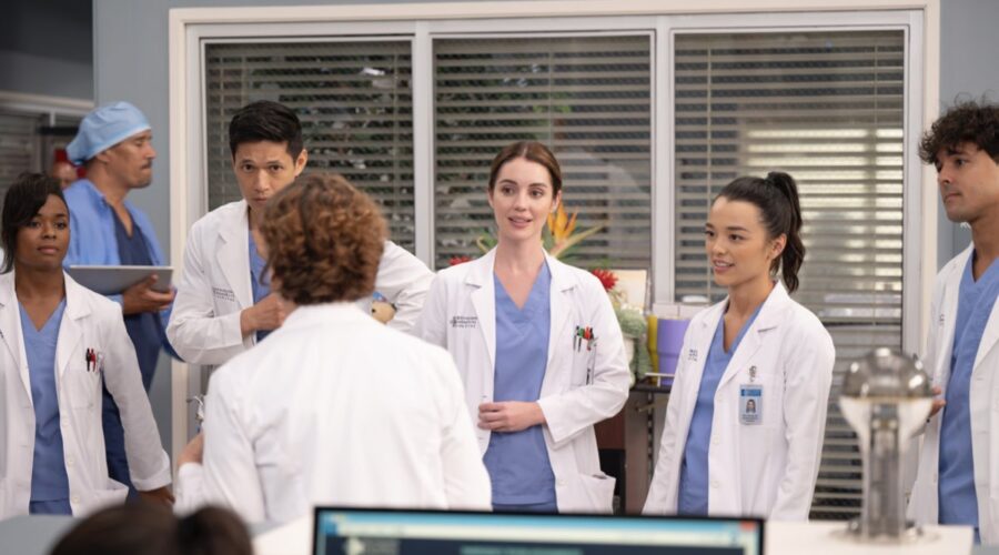 I Protagonisti Di Grey's Anatomy 21 Credits Disney Plus