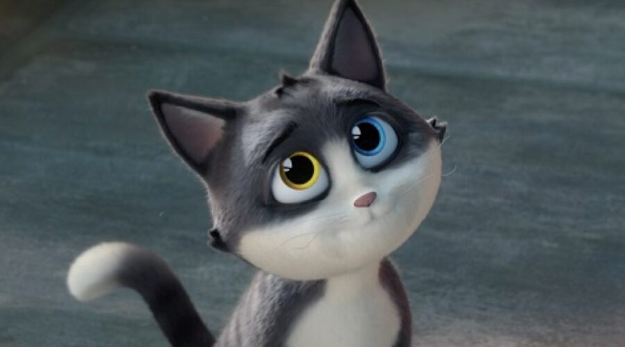 Il Gatto Beckett In 10 Lives Un Gatto Fortunato Credits Sky Cinema