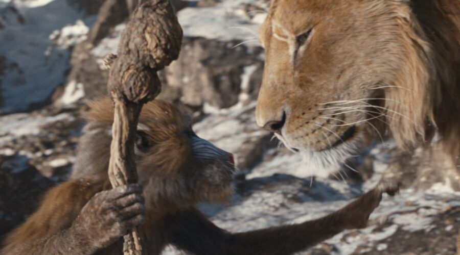 Immagine Di Rafiki E Mufasa In Mufas Il Re Leone Credits Disney