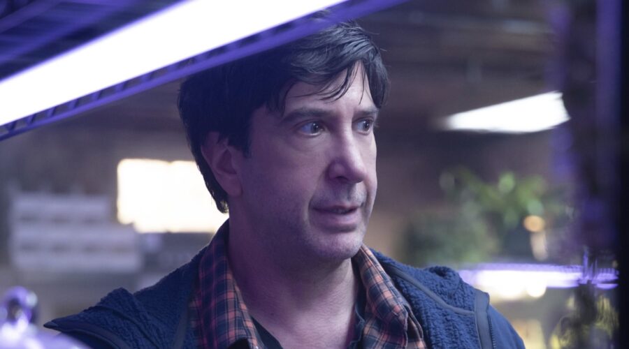 David Schwimmer In Piccoli Brividi 2 Credits Disney Plus