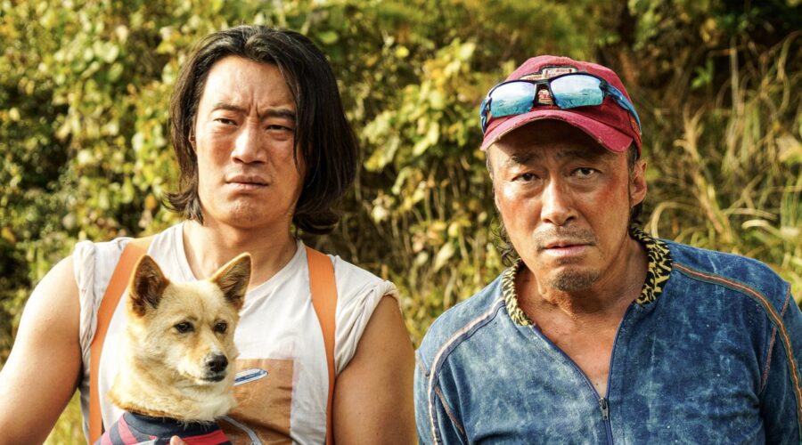 Handsome Guys La Commedia Horror Che Ha Conquistato Il Florence Korea Film Fest