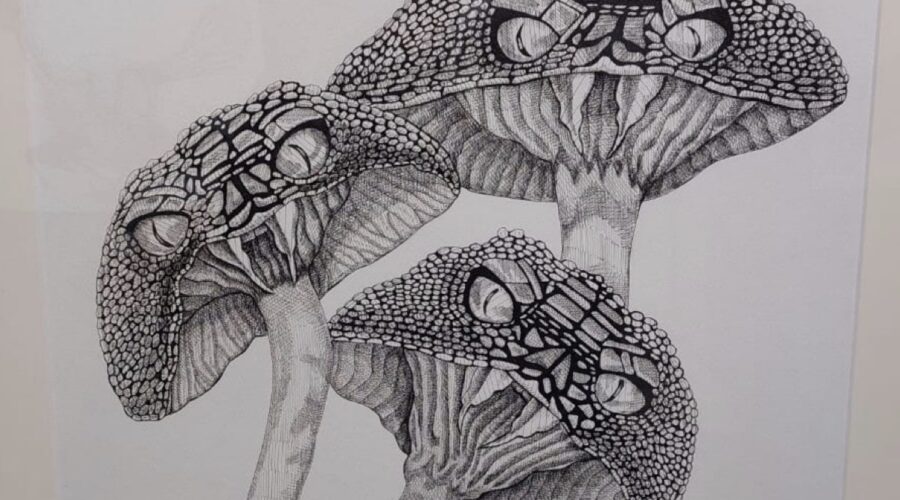 Terra Incognita Mostra Di Arianna Fioratti Loreto Al Museo La Specola Di Firenze Credits Laura Della Corte