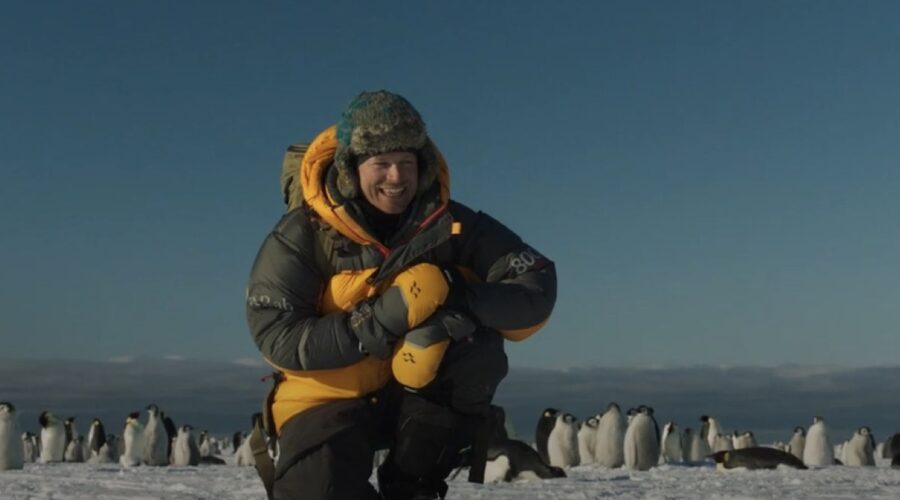 Bertie Gregory In I Segreti Dei Pinguini Credits Disney Plus