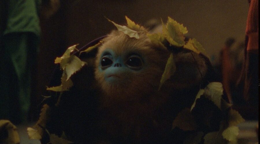 Baby Ochi In The Legend Of Ochi Credits I Wonder Pictures