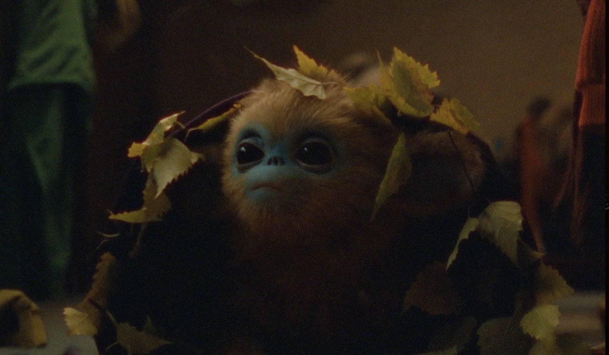 Baby Ochi In The Legend Of Ochi Credits I Wonder Pictures