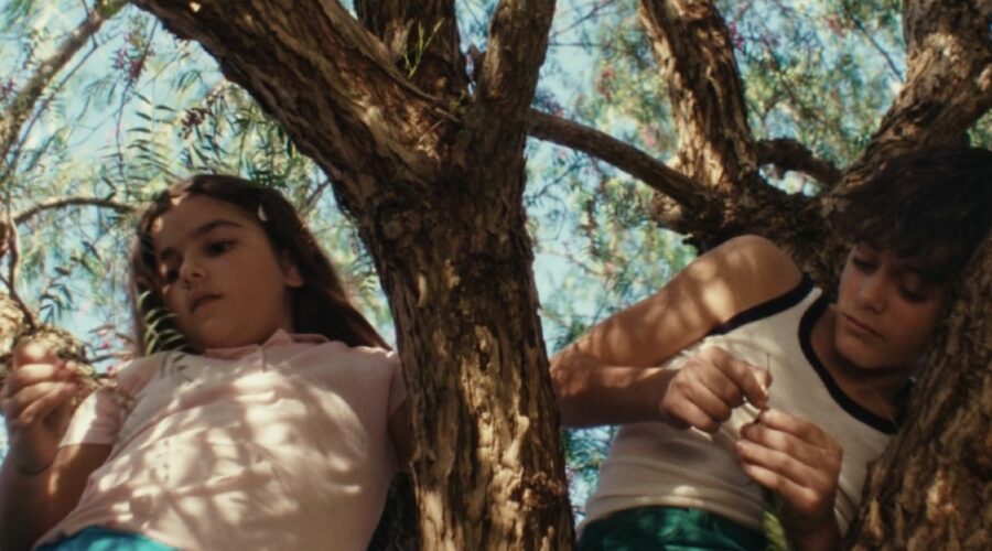 Immagine Dal Film Alma Credits Portfolio Camilla Cattabriga