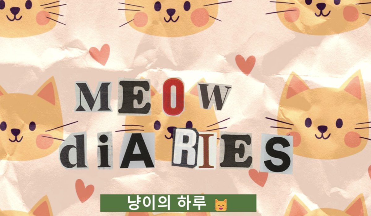 Immagine Di Meow Diaries Credits Via Instagram