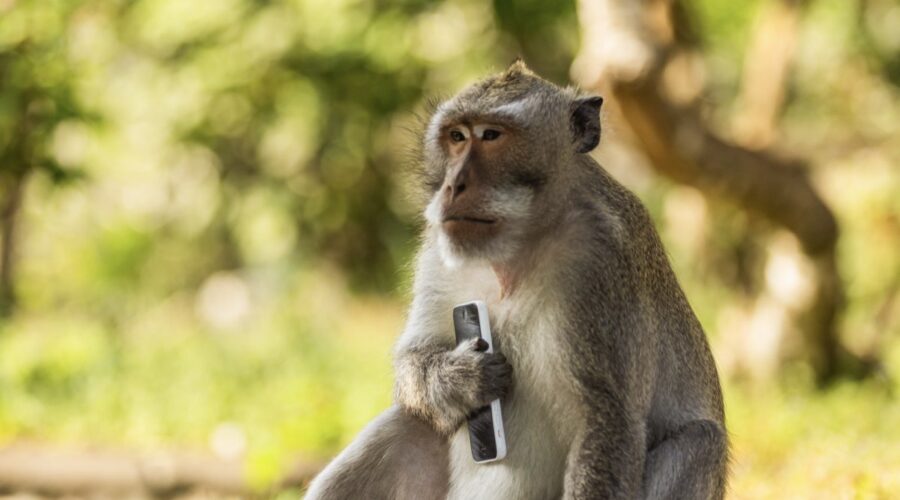 Immagine Di Underdogs Credits Disney Plus