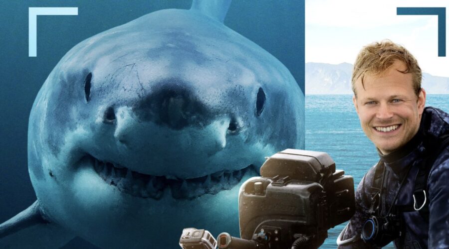 Locandina Bertie Gregory A Tu Per Tu Con Gli Squali Credits Disney PlusLocandina Bertie Gregory A Tu Per Tu Con Gli Squali Credits Disney PlusLocandina Bertie Gregory A Tu Per Tu Con Gli Squali Credits Disney Plus