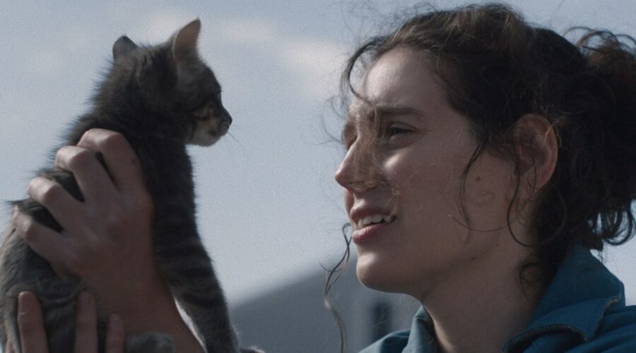 Locandina Di Sorry Baby Credits I Wonder Pictures