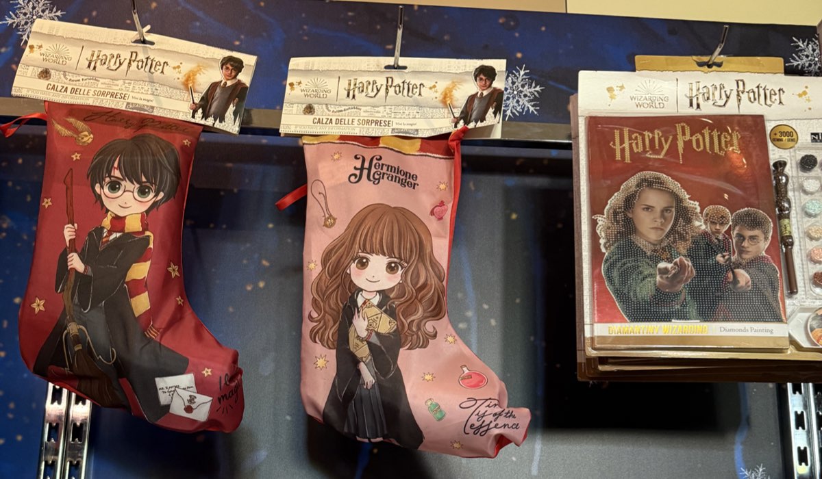 Le calze della Befana e diamond painting di ”Harry Potter“ a