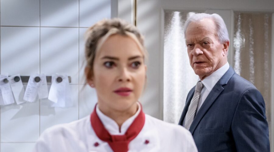 Tempesta D'amore 20 - 92 Retequattro - 1a Tv Laura Osswald As Greta Bergmann, Dirk Galuba As Werner Saalfeld Credits Rete In Rete